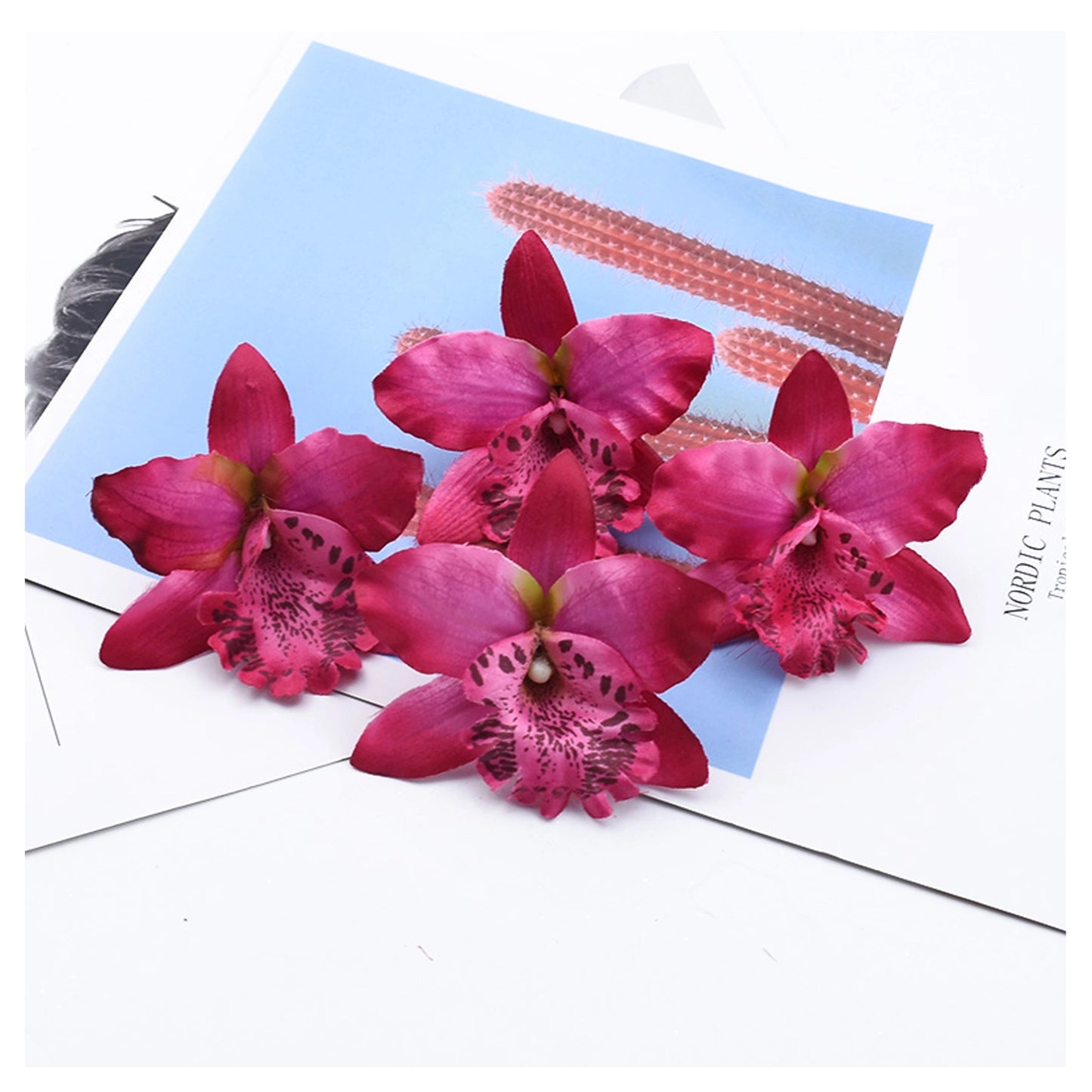 Beautiful Phalaenopsis orchid flower head cake toppers for stunning cake designs. High-quality, vibrant decorations perfect for custom party styling and elegant event cakes